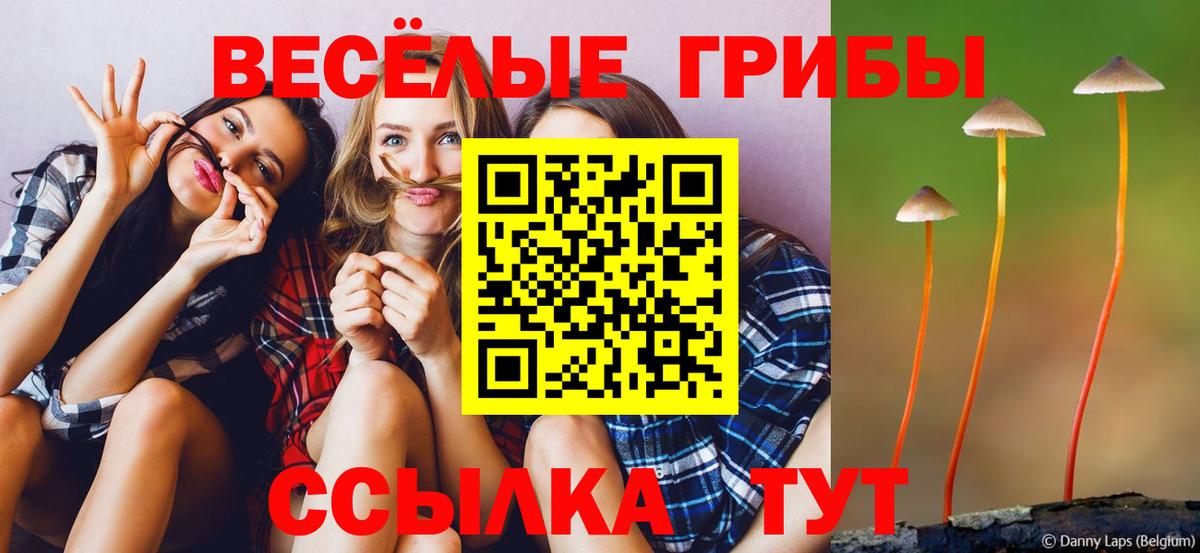 Галлюциногенные грибы прущие грибы Уфа